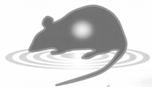 マウスイラスト(モノクロ)-(株)オリエンタルバイオサービス