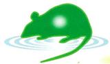 Fig:mouse